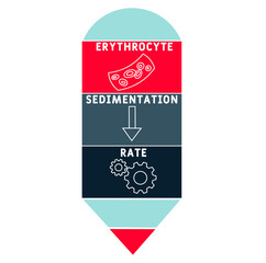 ESR - Erythrocyte Sedimentation Rate acronym. medical concept background.  vector illustration concept with keywords and icons. lettering illustration with icons for web banner, flyer, landing 
