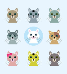 cute kitten cat vector collection