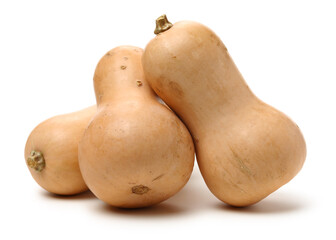 butternut squash isolated on white background. 
