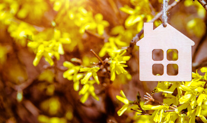 The symbol of the house among the branches of the Forsythia
