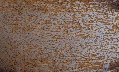 Pitted rusty metal plate.
