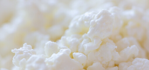 Fresh milk curd as background.