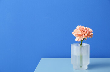 Fototapeta na wymiar Vase with beautiful carnation flower on table near color wall