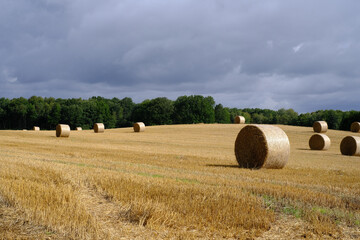 Abgeerntetes Getreidefeld mit dunklen Himmel