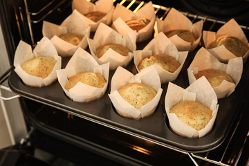 Baking tin with poppy seed muffins in oven