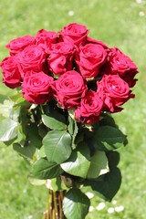 Rosenstrauß. Rote Edelrosen.