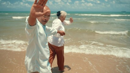 Senior couple relaxing by the sea on sunny day. Portrait of happy senior female friends at beach, two seniors together smiling and enjoying looking camera at beach in summer time holiday. - Powered by Adobe