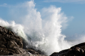 Massive West Coast wave breaking on rocks at Postberg Nature Reserve