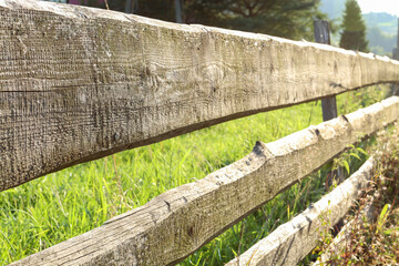 Wooden country fence on the wild meadow.