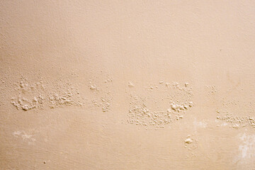 Brown wall damp damaged with peeling paint
