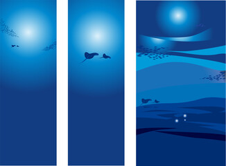 深海とエイ　Deep sea and rays © mamio