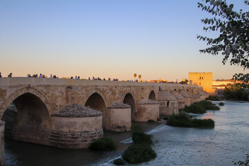 Obraz premium Puente Romano de Córdoba