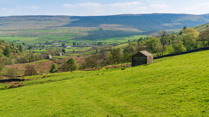 Swaledale landscape between Keld and Thwaite, North Yorkshire, England, UK