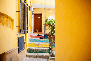 Young cats on the colorful staircase