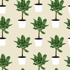 Tropical bananas tree in pots seamless pattern for inside and outside. Beige background.