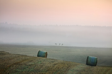 Świt Po Sianokosach z Trzema Żurawiami  © Wojciech Lisiński