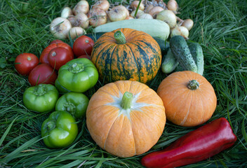 Autumn vegetables, close-up. Pumpkins, green and red paprika, onions, tomatoes and cucumbers are on green grass. Organic food background. The concept of Harvest, Thanksgiving day, Halloween