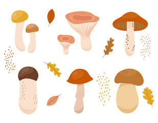 Set of colorful autumn mushrooms in flat style. Vector illustration of wild forest edible mushrooms. Organic healthy cartoon food with oak and maple leaves decorations