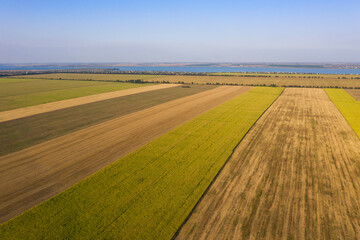 A lot of agruculture fields in long stripes to the horizon in sunny day in Ukraine. Drone photo