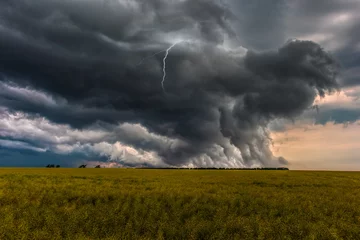 Fotobehang Gewitterzelle mit Blitz über einem Feld © Marcus