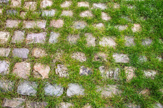 Sol pav&eacute; bord&eacute; d'herbe