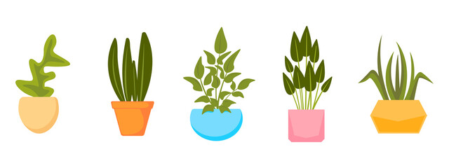 Fototapeta na wymiar Set of home plants in pots. Vector collection of house plants in flat style.
