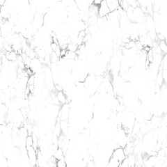 Marble texture background design Vector