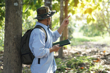 Side view of backpack hiker travel alone in forest, survey and collect information of botanical plants by using smart tablet Concept :  backpacking tourism, adventure, Environment field research.  
