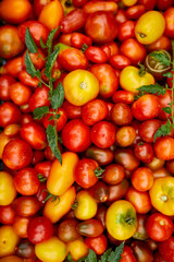 Different kinds of homegrown tomatoes, Assortment of tomatoes, local farmers market