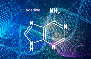 Chemical structural formula of adenine - DNA and RNA nitrogen base