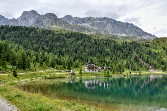 Obersee, Staller Sattel, See, Bergsee, Alpensee, Pass, Gebirgspass, Wasser, Osttirol, Villgrater Berge, Rieserfernergruppe, Spiegelbild, spiegeln, Defereggental, Zirben, Niedermoor, Almrosen, Seeufer,