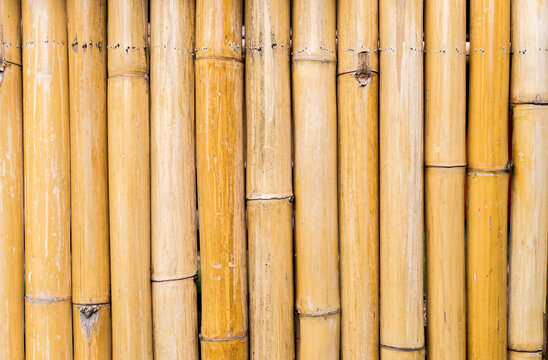 Closeup bamboo wood fence background, outdoor day ligh, nature texture background