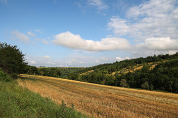 Summer landscape with harvested field and blue sky