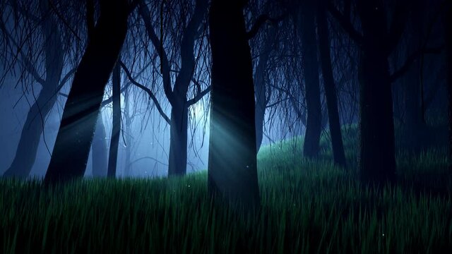 3d animated background of misterical and scary dark forest with fog and godrays