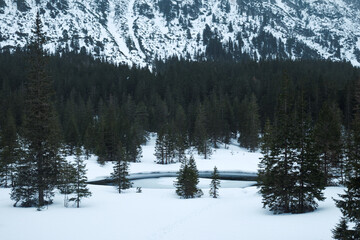 winter lake in the pine forest, high slopes in background, Poland, Morskie Oko