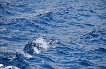 Blue sea water surface with ripples and waves