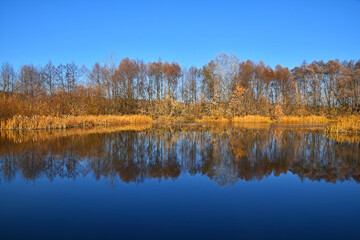 Waterscape with reflection of autumn trees