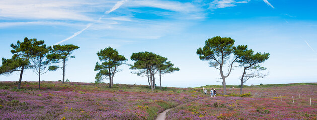 people walk towards ocean  at cap d'erqui in french brittany - obrazy, fototapety, plakaty
