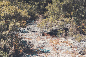 texture of the rocks