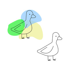duck vector