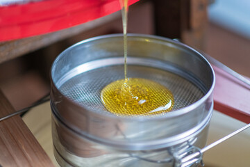 Drop of bee honey drip from hexagonal honeycombs