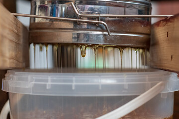 Drop of bee honey drip from hexagonal honeycombs