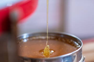 Drop of bee honey drip from hexagonal honeycombs