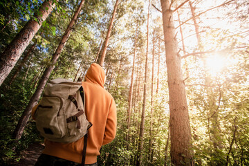 Man hiking with backpack in green forest. Back view