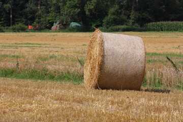 Einzelner, runder Strohballen auf einem Feld in Lippetal Büninghausen