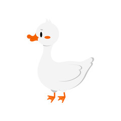 Goose cute domestic duck animal isolated on white background. Funny single goose - farm poultry bird. Flat design cartoon style vector illustration.