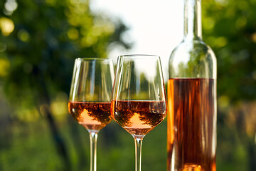 Close-up of two glasses and a bottle of rosé wine in the vineyard