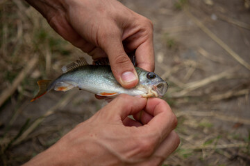 Fishing rod wheel closeup, man fishing with a beautiful sunrise behind him