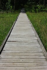 Fototapeta na wymiar Wooden boardwalk leading straight into the lush summer green meadow.