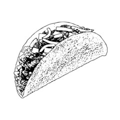 taco sketch illustration